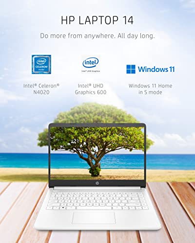 HP 14 Laptop computer with Intel Celeron N4020, 4GB RAM, 64GB Storage, 14-Inch Micro-Edge HD Show, Home windows 11 Residence, Slim and Light-weight Design, 4K Graphics, Contains One 12 months of...